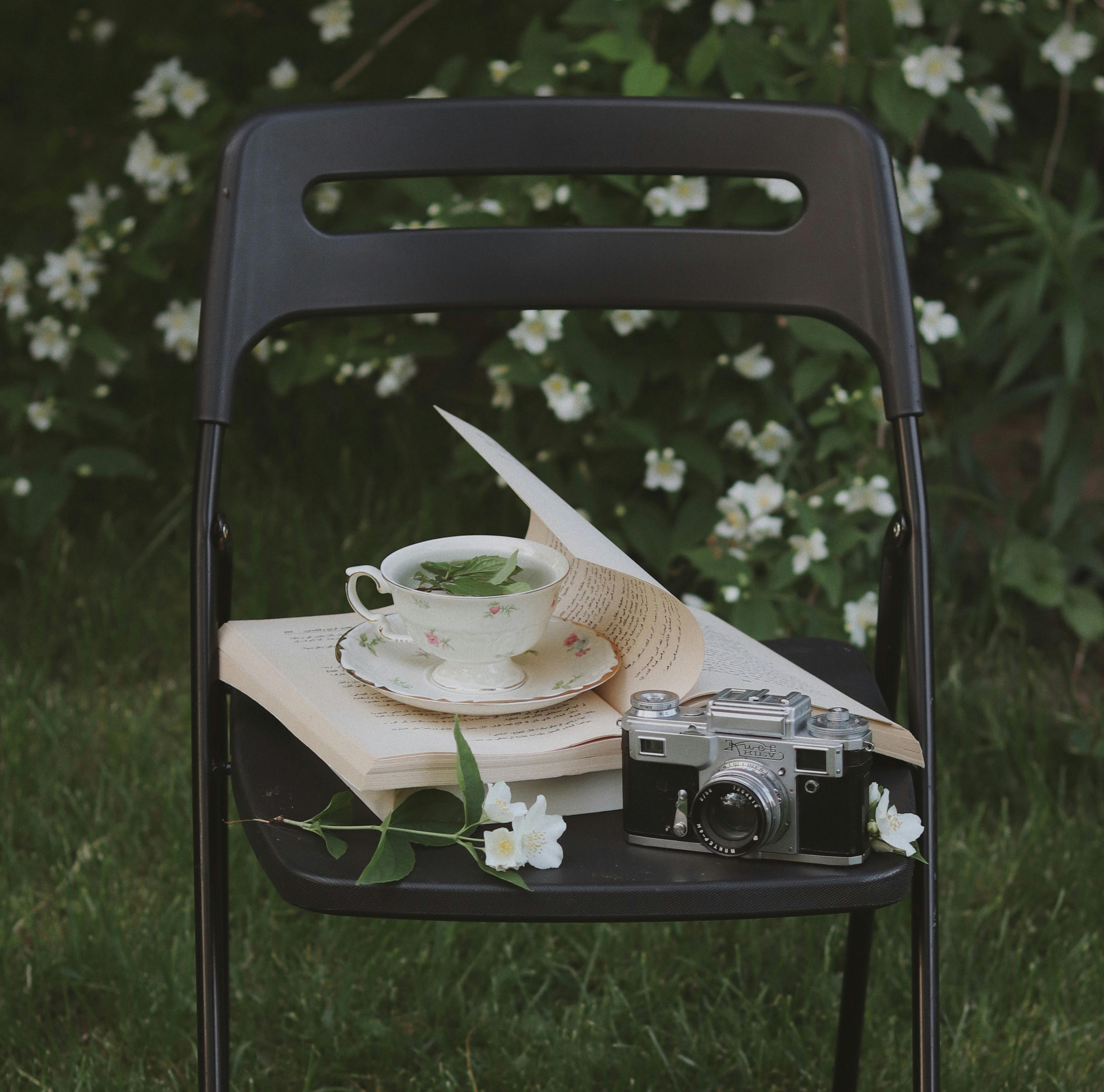 Book in a chair